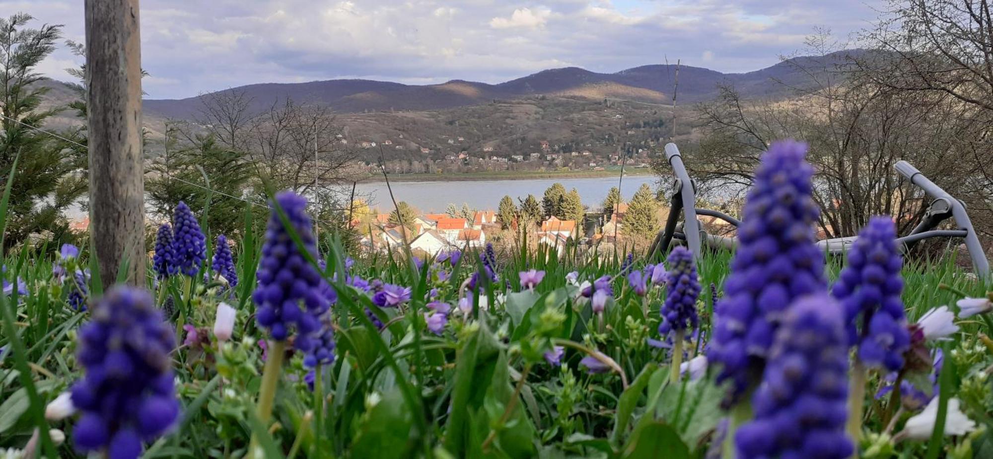 New Hope Land Apartman Нодьмарош Екстер'єр фото