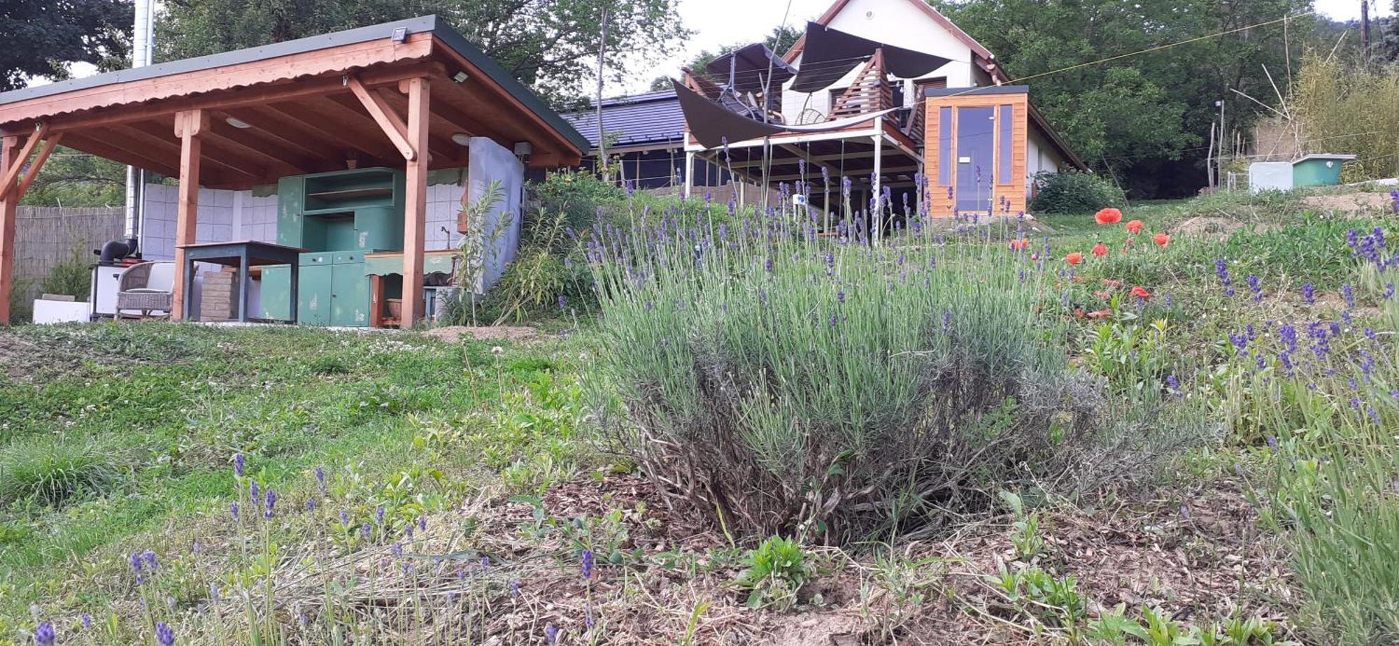 New Hope Land Apartman Нодьмарош Екстер'єр фото